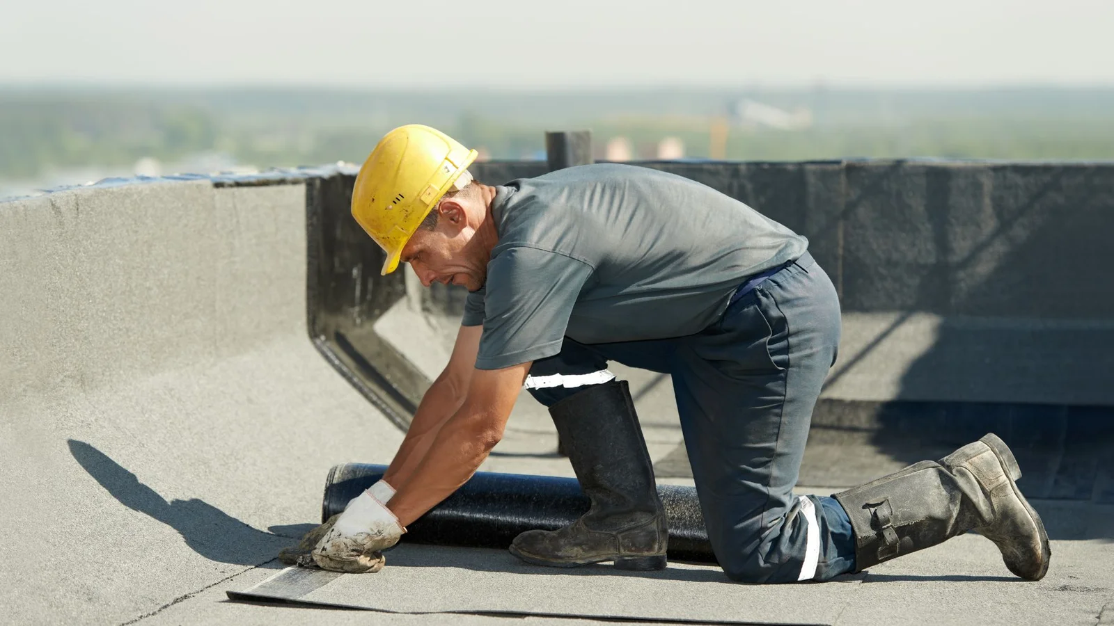 Roof and gutter system